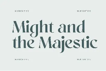 Sangu Sophisticated Serif font