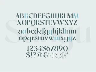 Sangu Sophisticated Serif font