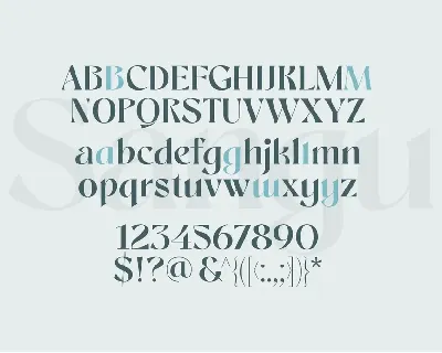 Sangu Sophisticated Serif font