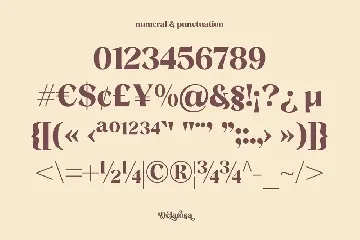 Delarosa - A Decorative Serif font