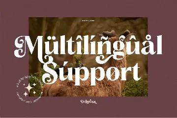 Delarosa - A Decorative Serif font