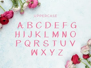 Quentin Oconner font
