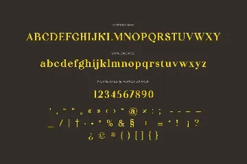 Flagoria Caintha Serif Font Family