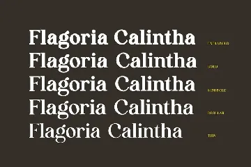 Flagoria Caintha Serif Font Family