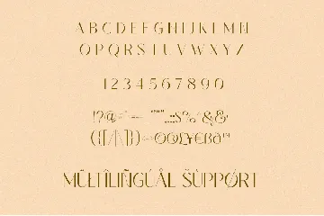 Elegant Sans Serif Font