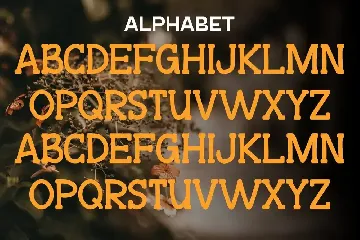 Start Autumn - Modern Serif Typeface font