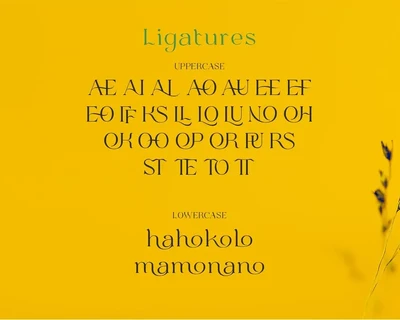 Bulone Typeface font