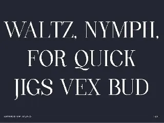 Quinty a Luxury Serif Font Family