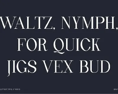 Quinty a Luxury Serif Font Family