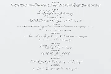 Barbara Script font