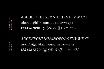 Walkie Valkyrie Serif Font Family