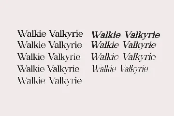 Walkie Valkyrie Serif Font Family