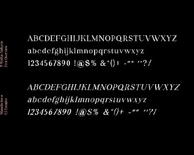 Walkie Valkyrie Serif Font Family