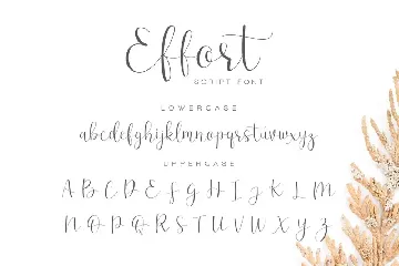 Effort - Luxury Font