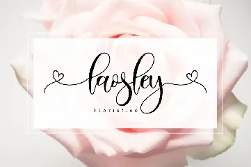 Haisley - Lovely Script Font