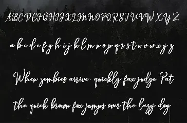 Hendryan Script font