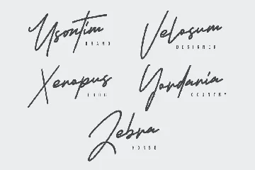 Armstrong Signature Font