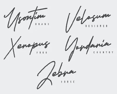 Armstrong Signature Font