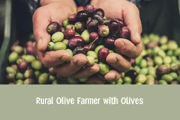 Simply Olive font