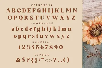 Feathers font