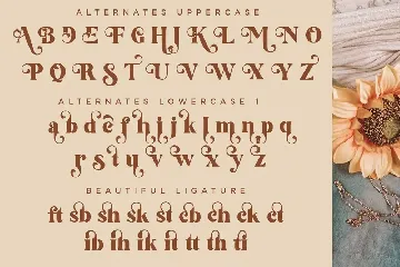 Feathers font