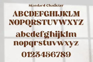 Reikna - Stylish Serif Font