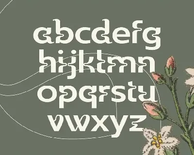 Wildhead Display Font