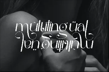 Vilergan Serif Font