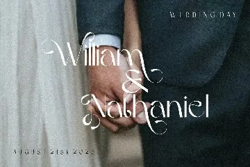 Vilergan Serif Font