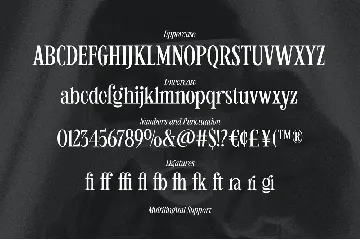 Humble Nostalgia - Elegant Serif font