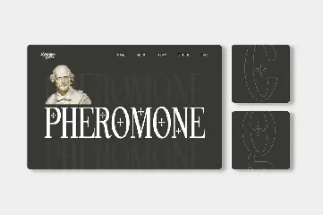 Pheromone Ultimate Modern Classic Serif font