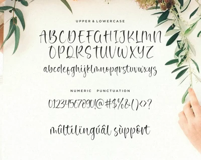 Noble Dream Script Font
