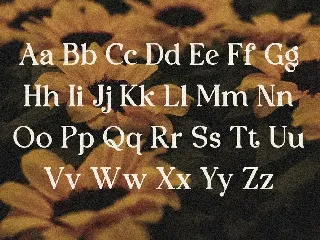 Oranges - Modern Retro Serif font