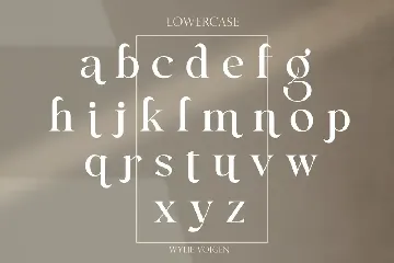 Retro Serif Font