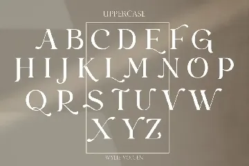 Retro Serif Font