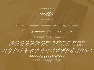 Bradley Milestiago Handbrush Script font