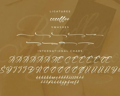 Bradley Milestiago Handbrush Script font