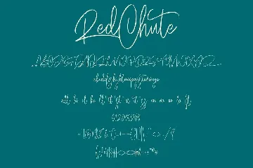 RedChute Modern Script Typeface Handmade Brush font