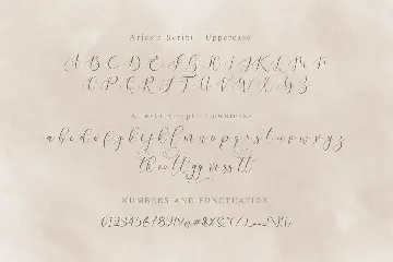 Ariesta Script font