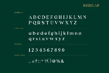 Emerland Serif Font