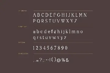 Weigeland Serif Font