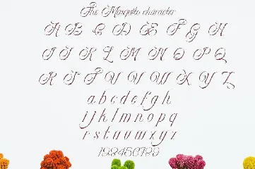 The Masquito font
