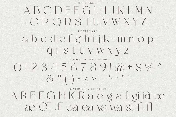 Qidea font