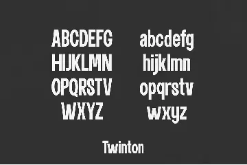 Twinton - Modern Sans font
