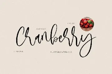 Monday Script font