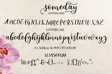 someday Script font