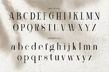 Corleone Elegant Serif font