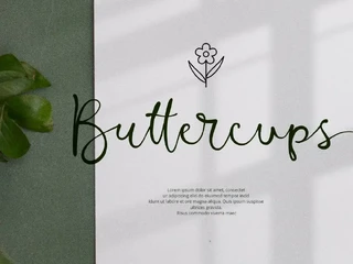 Barona Script - Handwritten Signature Font