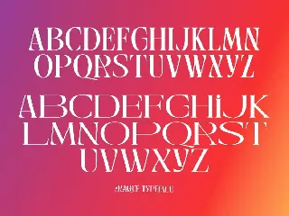 Raque - Modern Serif font