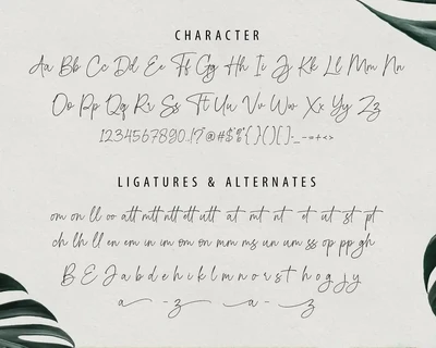 Domestic Script font